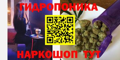 скорость Бердск