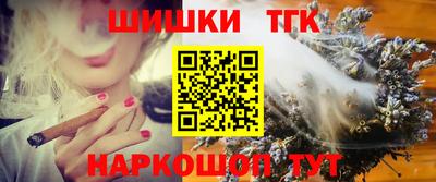 скорость Бердск