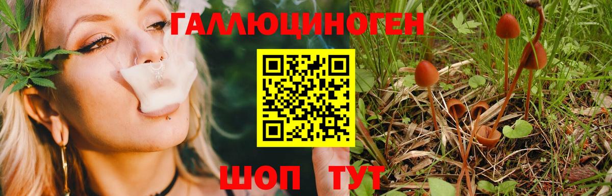 Псилоцибиновые грибы Cubensis Архангельск